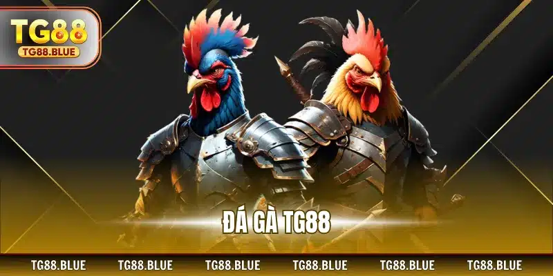 Đá gà TG88