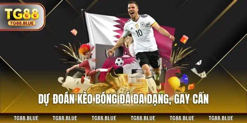 Dự đoán kèo bóng đá đa dạng, gay cấn